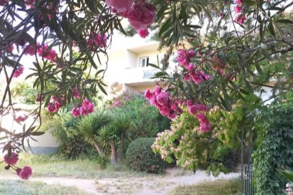 Toulon Est La Valette Studio 35M2 Dominant Parking Proche Mer Appartement Buitenkant foto